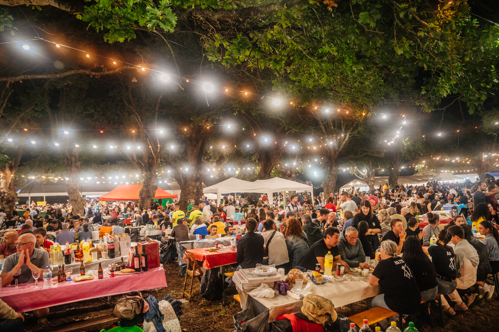 FEsta na carballeira